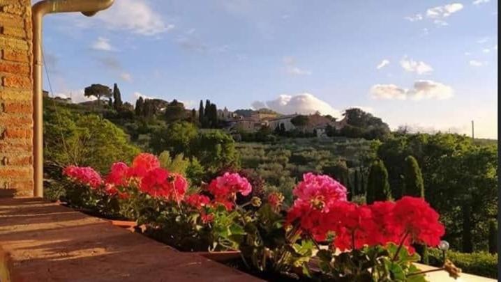 Leonaerdo Guests House Διαμέρισμα Panicale Εξωτερικό φωτογραφία